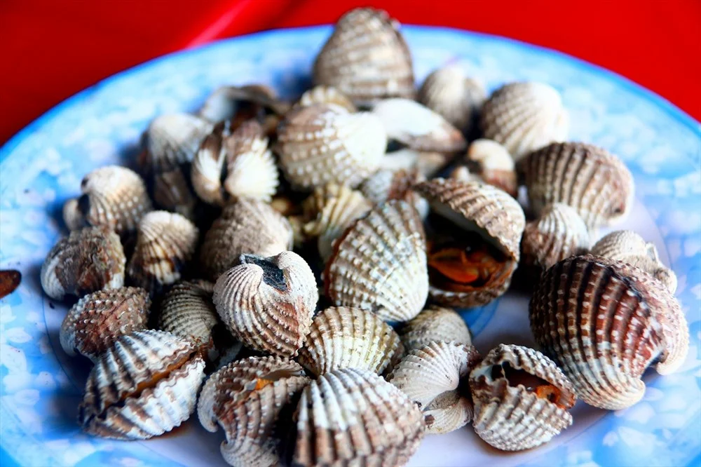 Đặc sản Phú Yên Óc Nhảy