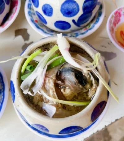 Mắt cá ngừ phú yên - cá ngừ đại dương