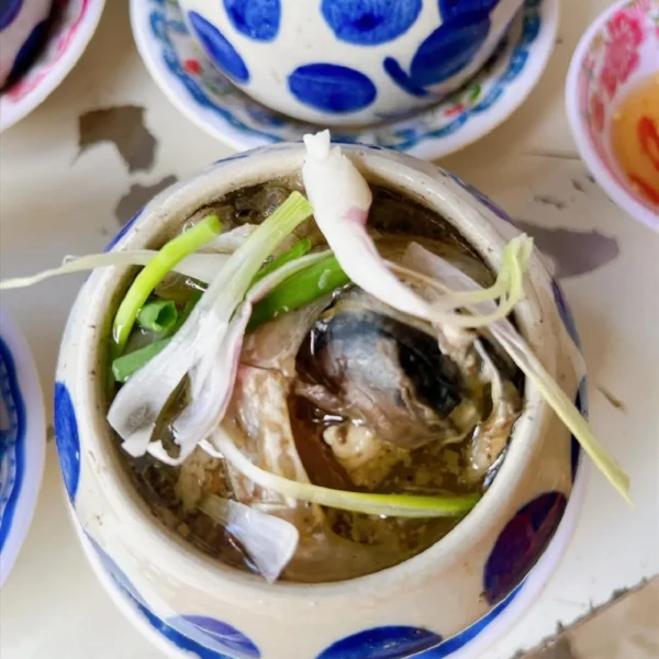 Mắt cá ngừ phú yên - cá ngừ đại dương