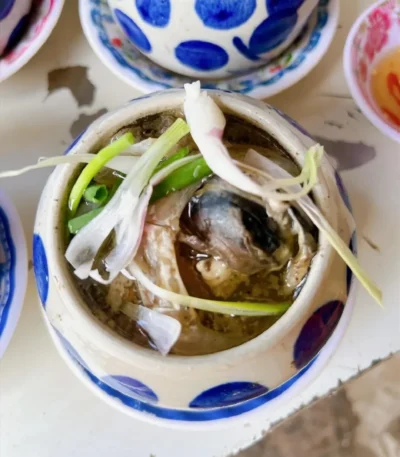 Mắt cá ngừ phú yên - cá ngừ đại dương
