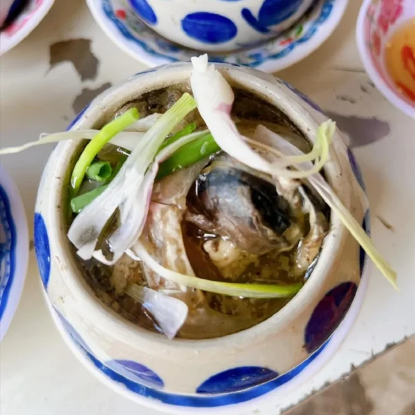 Mắt cá ngừ phú yên - cá ngừ đại dương