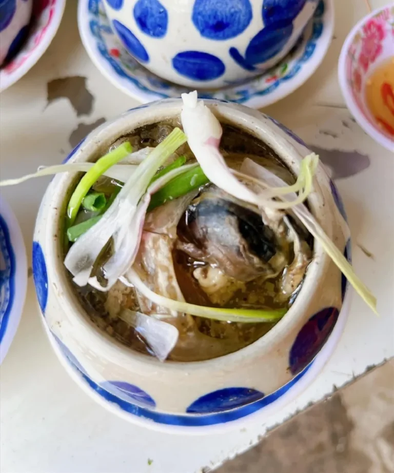 Mắt cá ngừ phú yên - cá ngừ đại dương
