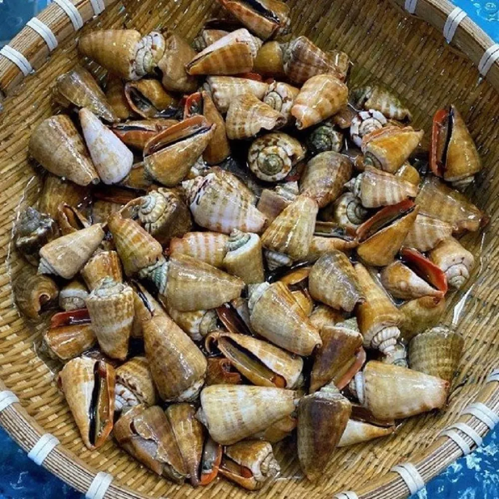 đặc sản ốc nhảy Phú Yên