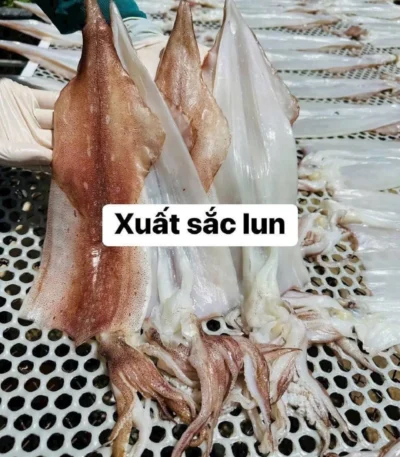 mực một nắng phú yên