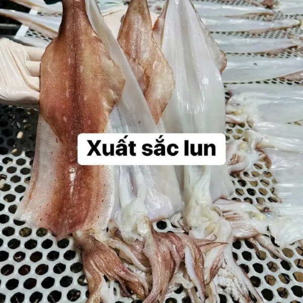 mực một nắng phú yên