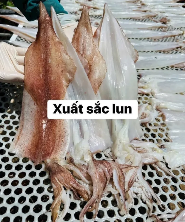 mực một nắng phú yên