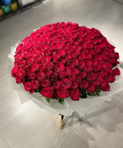 Bó hoa hồng ohara đỏ tươi đẹp