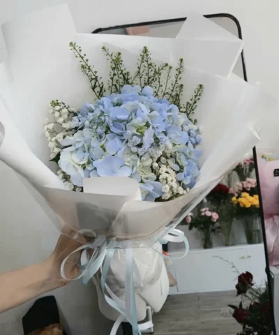 Bó hoa cẩm tú cầu xanh dương, xanh lá hoặc xanh bơ