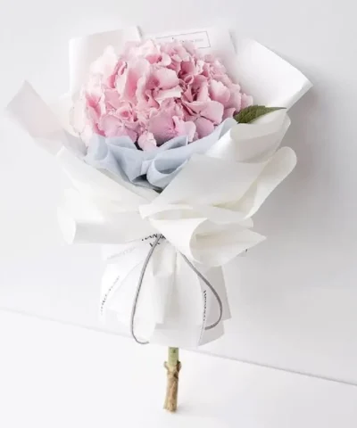 Bó hoa cẩm tú cầu hồng đẹp