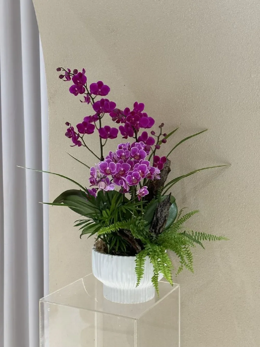 Đặt chậu giỏ hoa lan sinh nhật đẹp, sang trọng ý nghĩa chúc mừng Đặt chậu giỏ hoa lan sinh nhật đẹp, sang trọng ý nghĩa chúc mừng - Ảnh 2