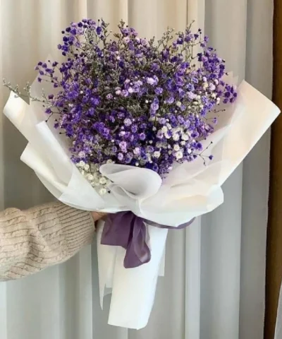 Bó hoa baby tím ý nghĩa