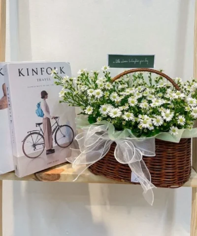 Bó hoa cúc tana đẹp (mẫu nhỏ mini hoặc to)