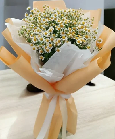 bó hoa cúc họa mi nhỏ