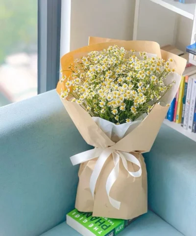 bó hoa cúc họa mi trắng