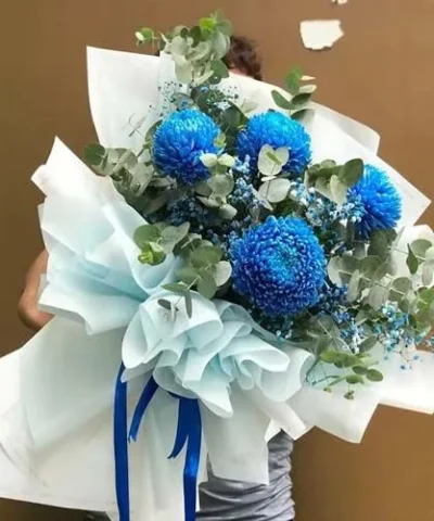 bó hoa cúc mẫu đơn xanh dương