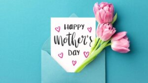 Ngày của mẹ, sinh nhật mẹ nên tặng hoa gì? gợi ý các loại hoa ý nghĩa tượng trưng cho tình mẫu tử
